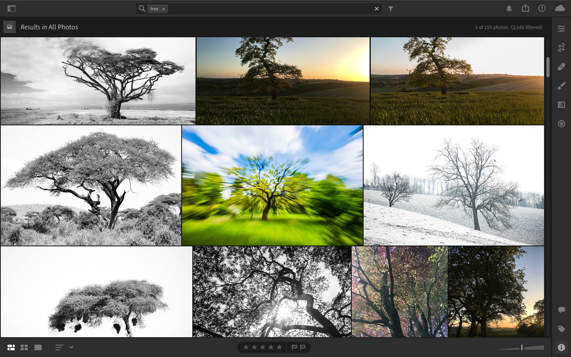 Screenshot showing Lightroom CC’s library