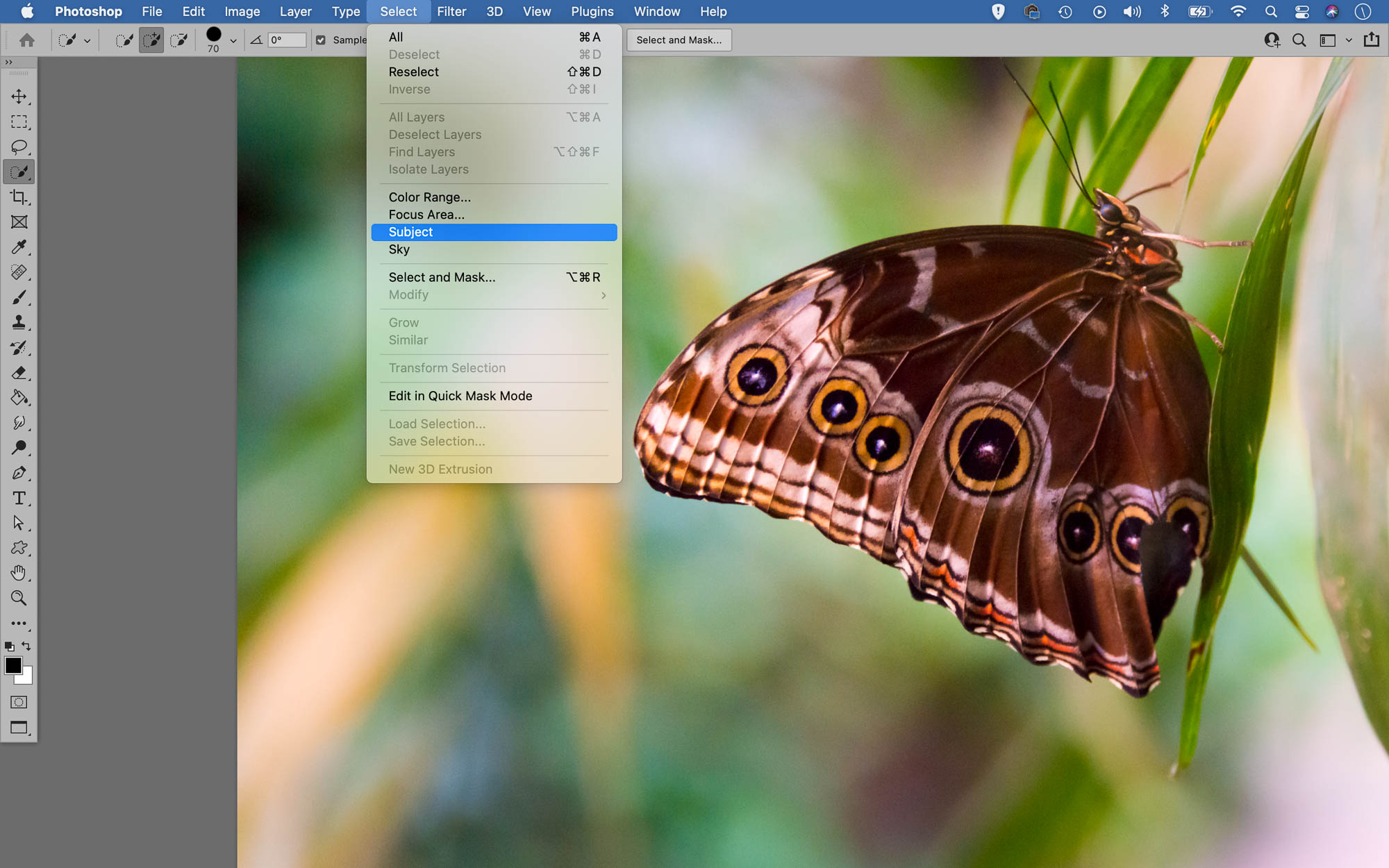 Screenshot showing Photoshop's Select Subject feature