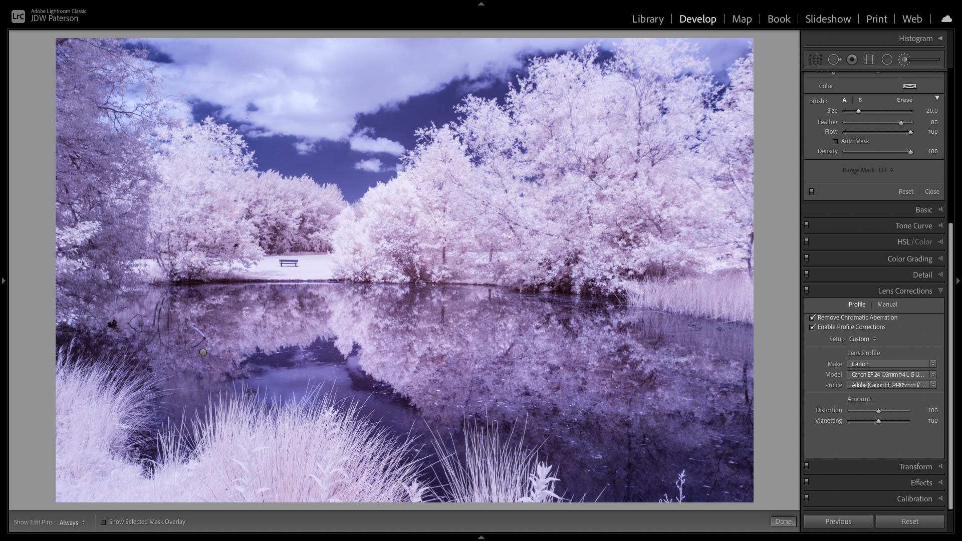 Lightroom screenshot showing the Lens Correction panel to fix lens issues