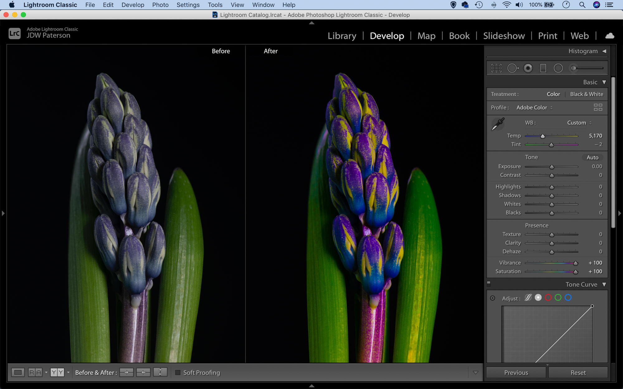 Screenshot showing a before and after comparison in Lightroom