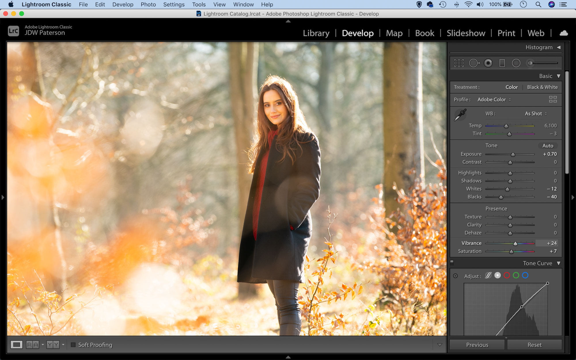 Adjusting the vibrancy of an image in Adobe Lightroom