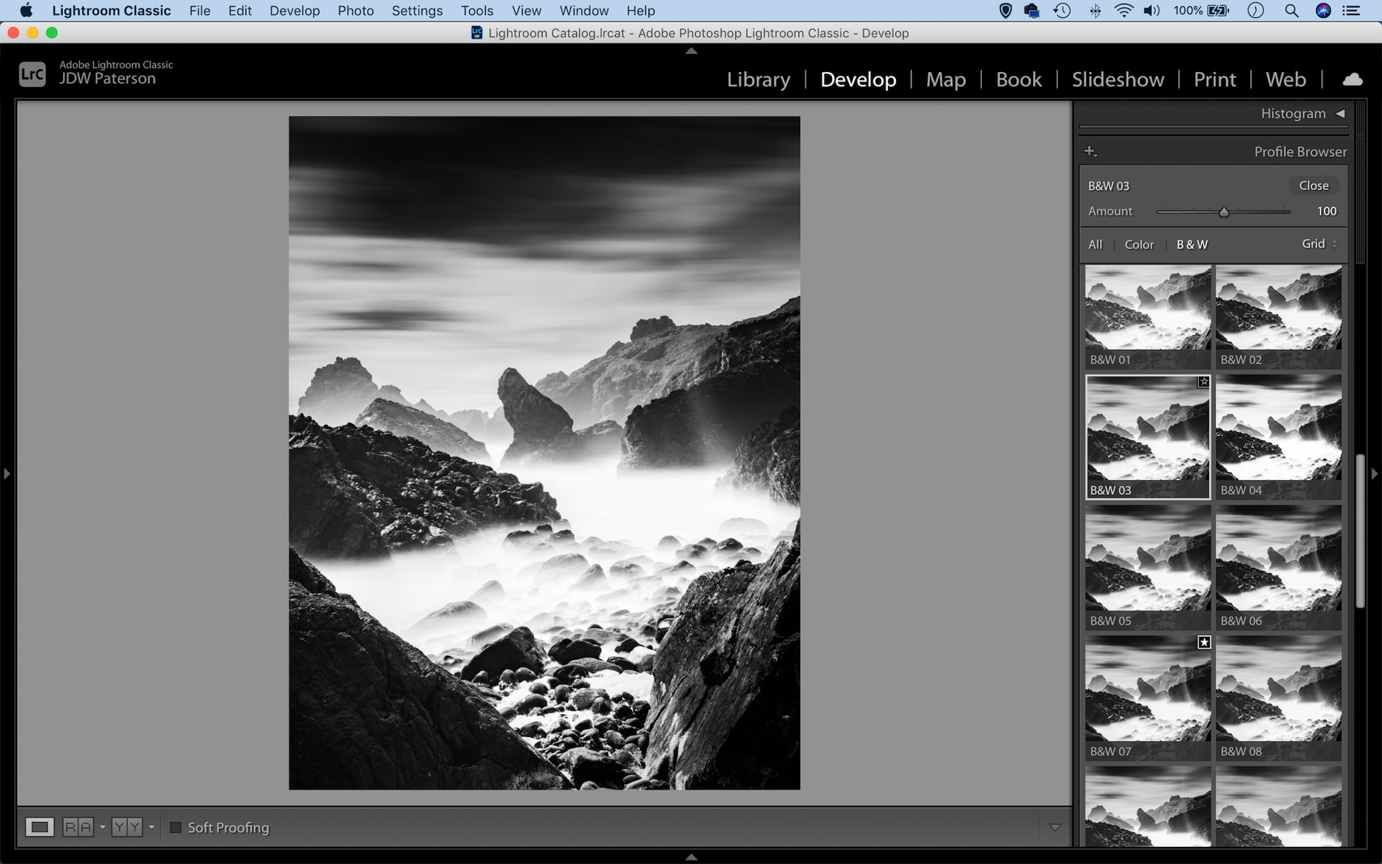 The black and white profile set in Lightroom