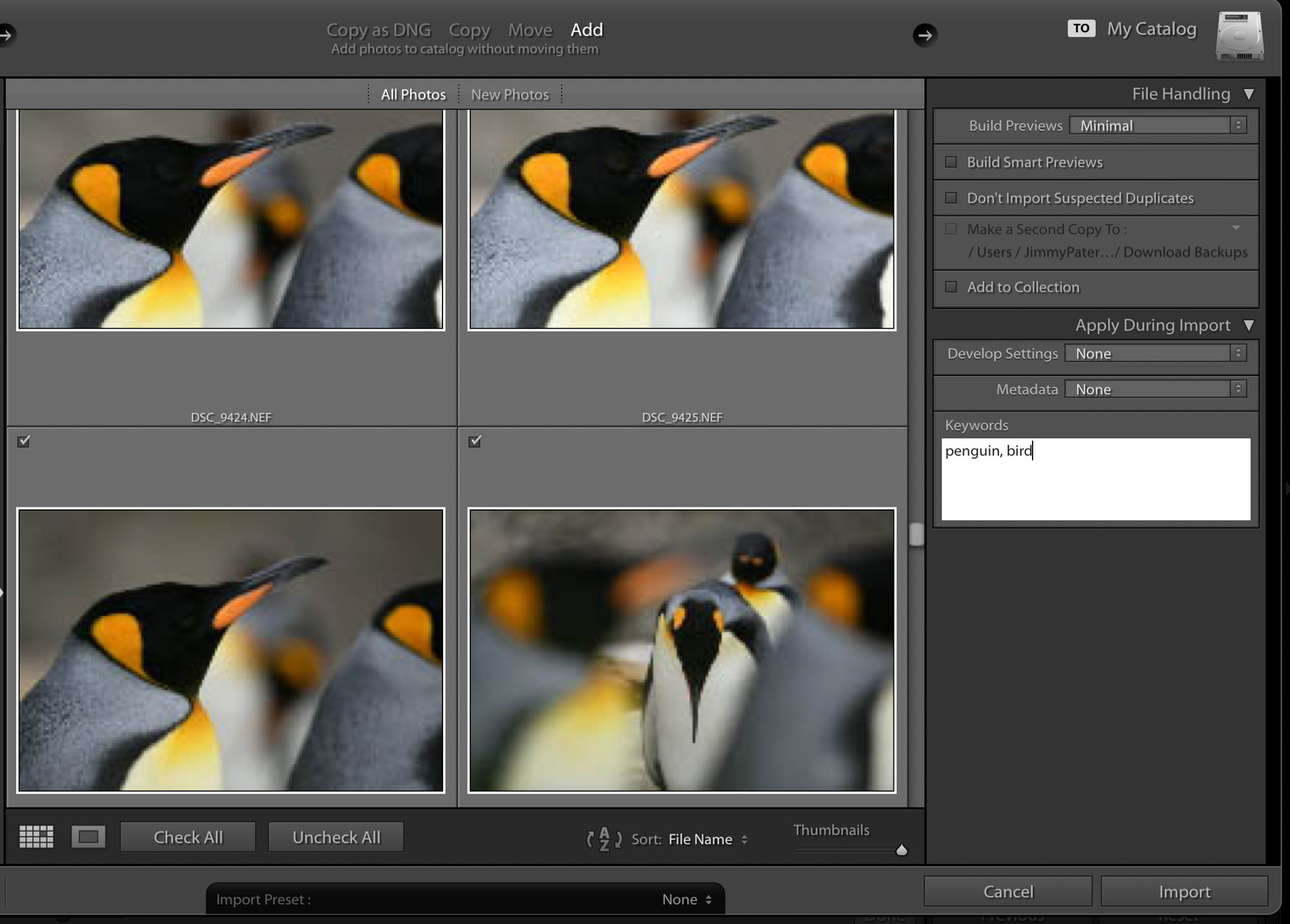 The keyword feature in Lightroom