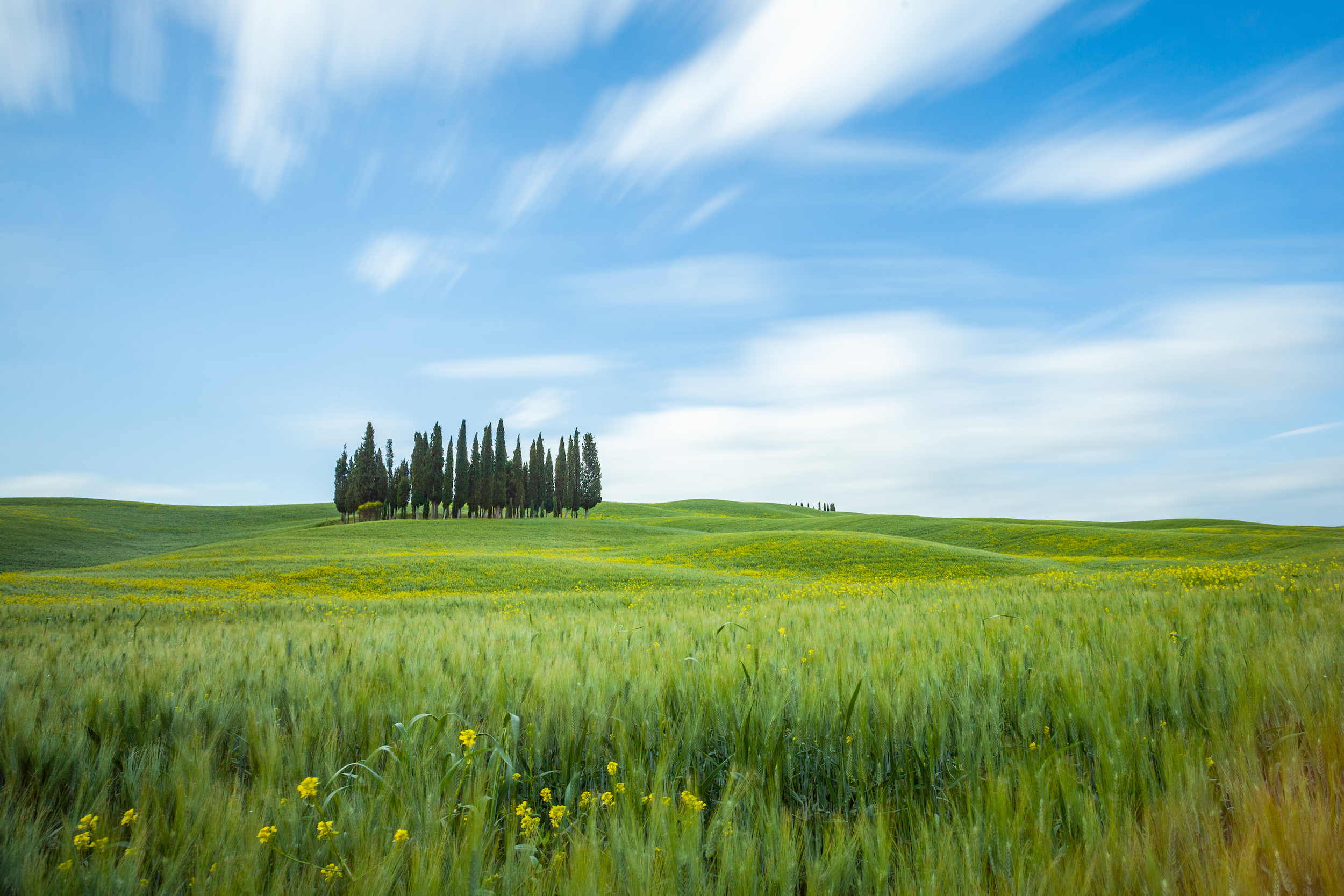 Daytime long exposure of fields and trees