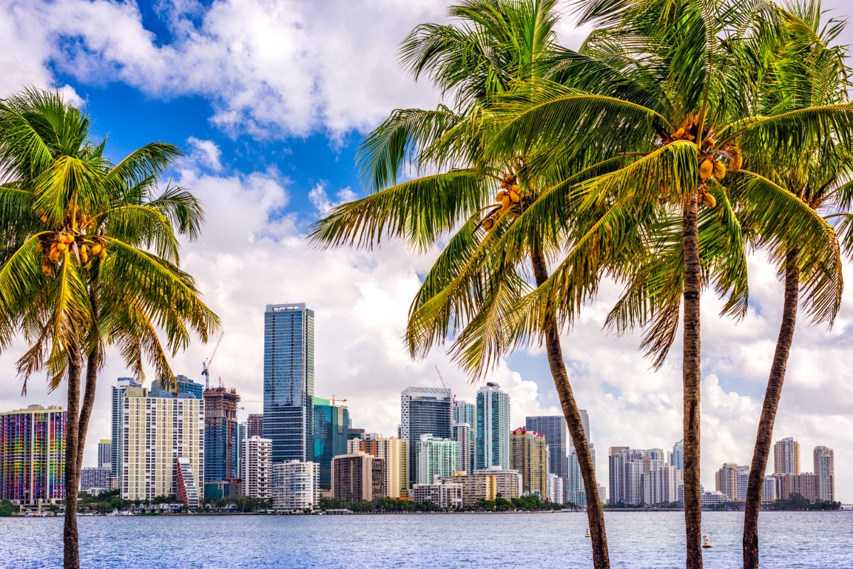 Miami Marathon & Half Marathon