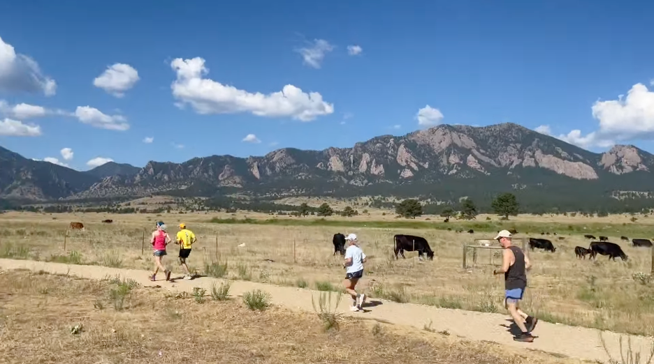 Five runners on a lakeside path with a city skyline behind them