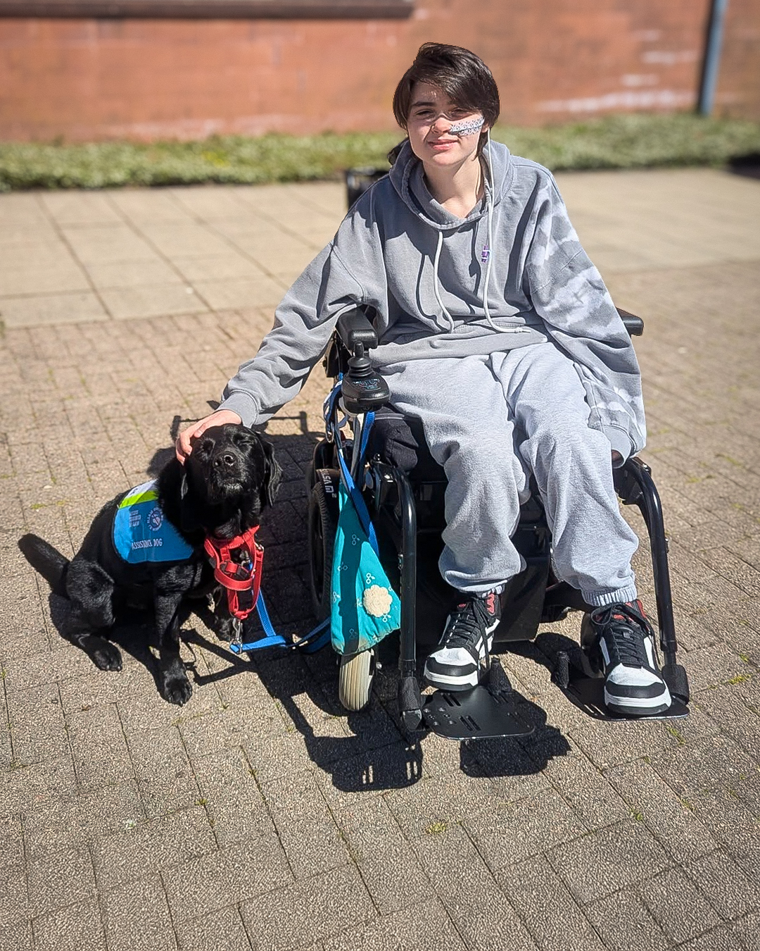 autism assistance dog with the handler