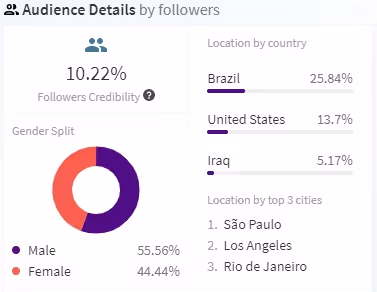 audience analytics of a fake influencer teamovertrain