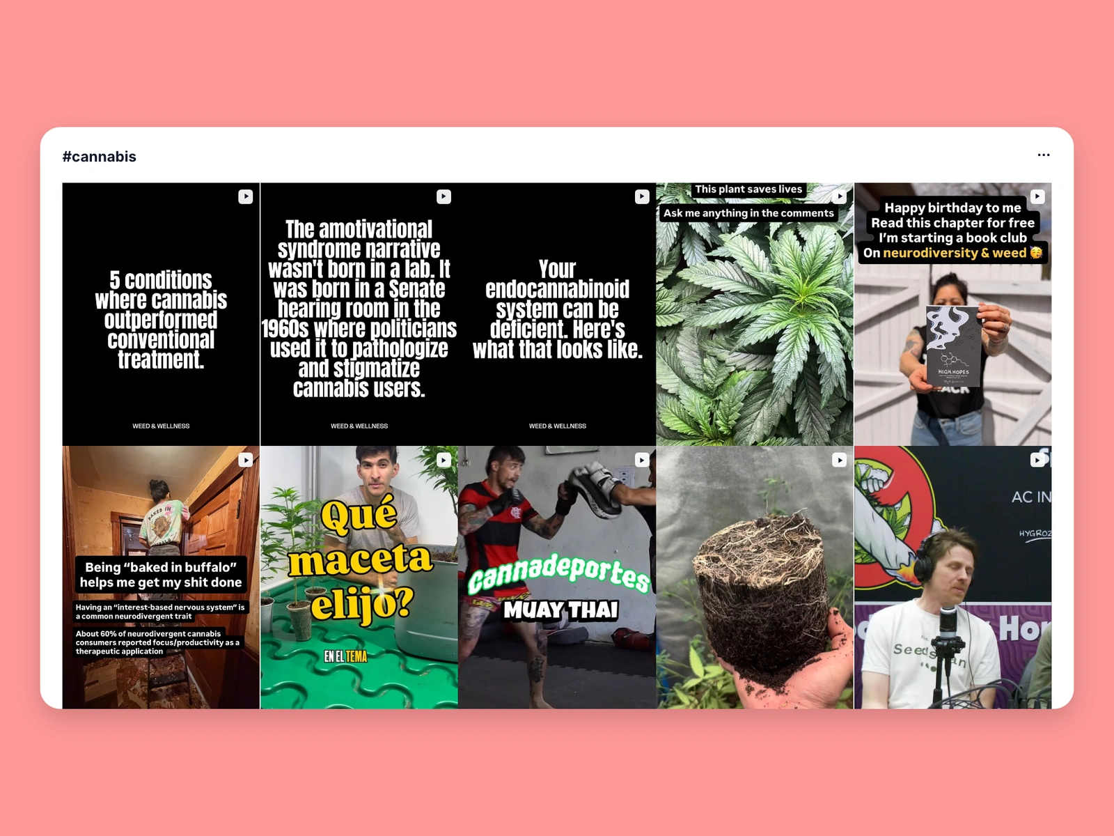 Instagram hashtag results for cannabis content