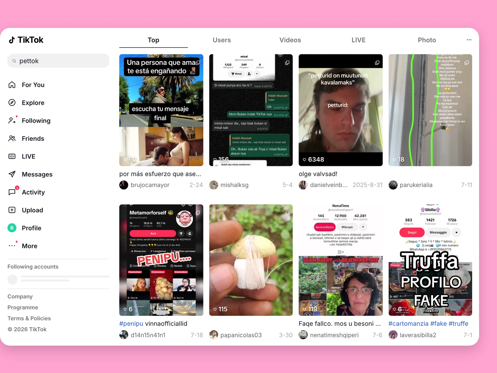 TikTok search results for pet content