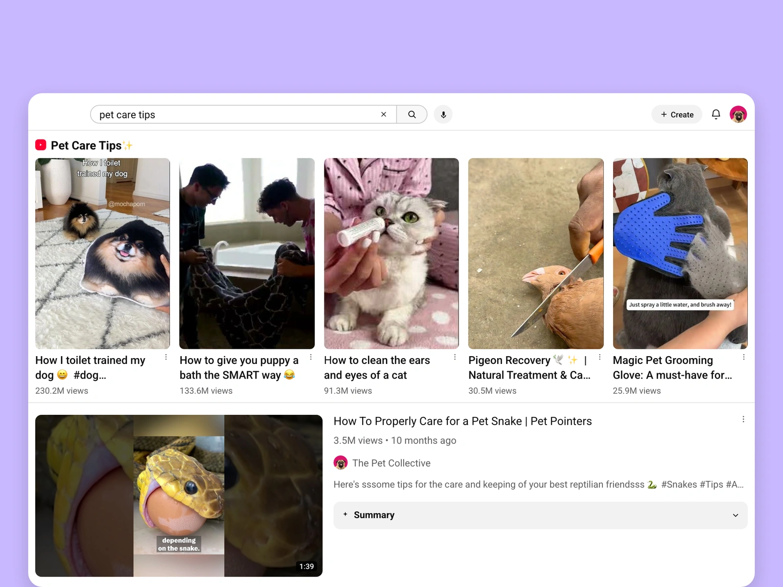 YouTube search results for pet videos