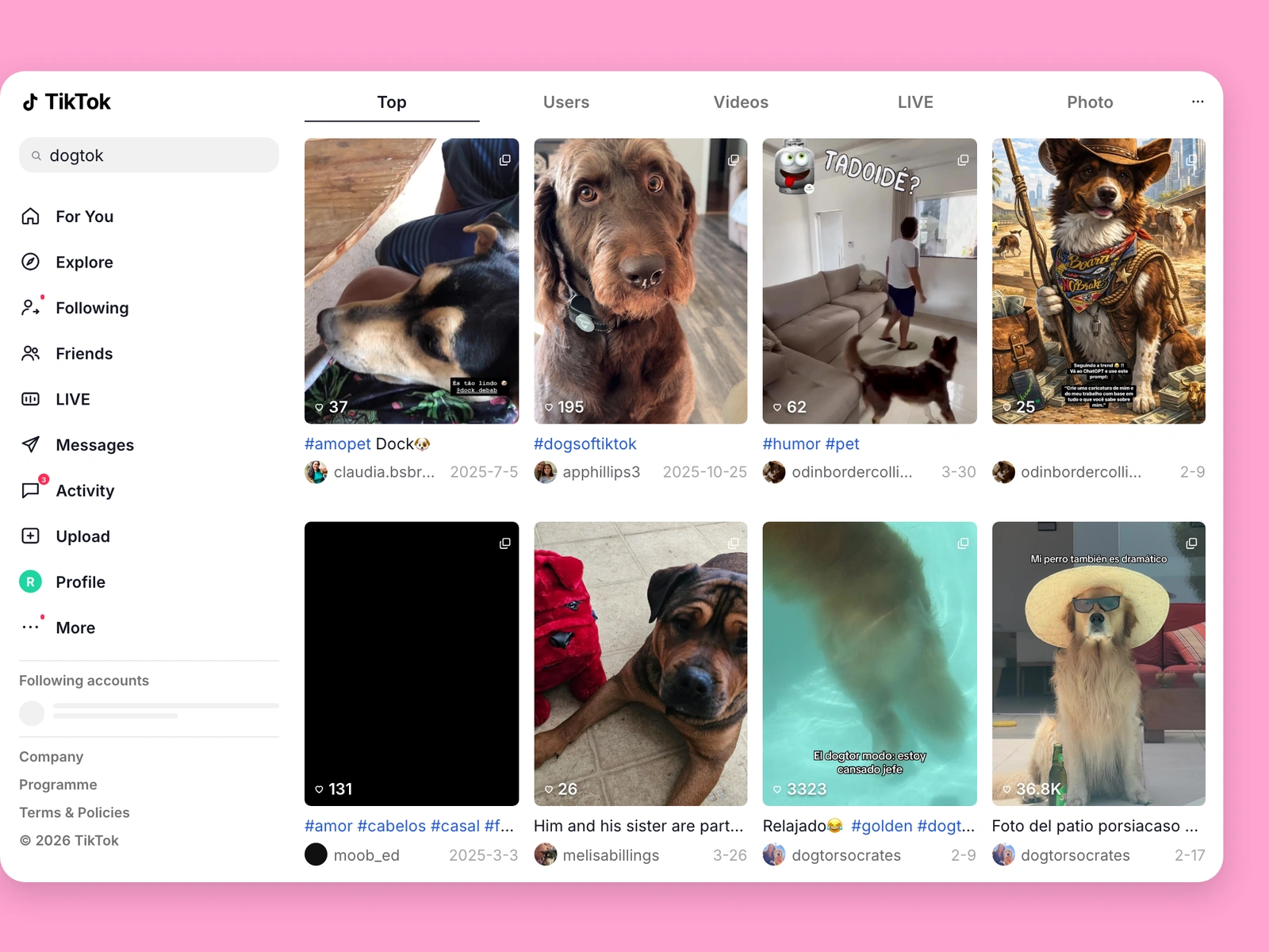 TikTok search results for dog content