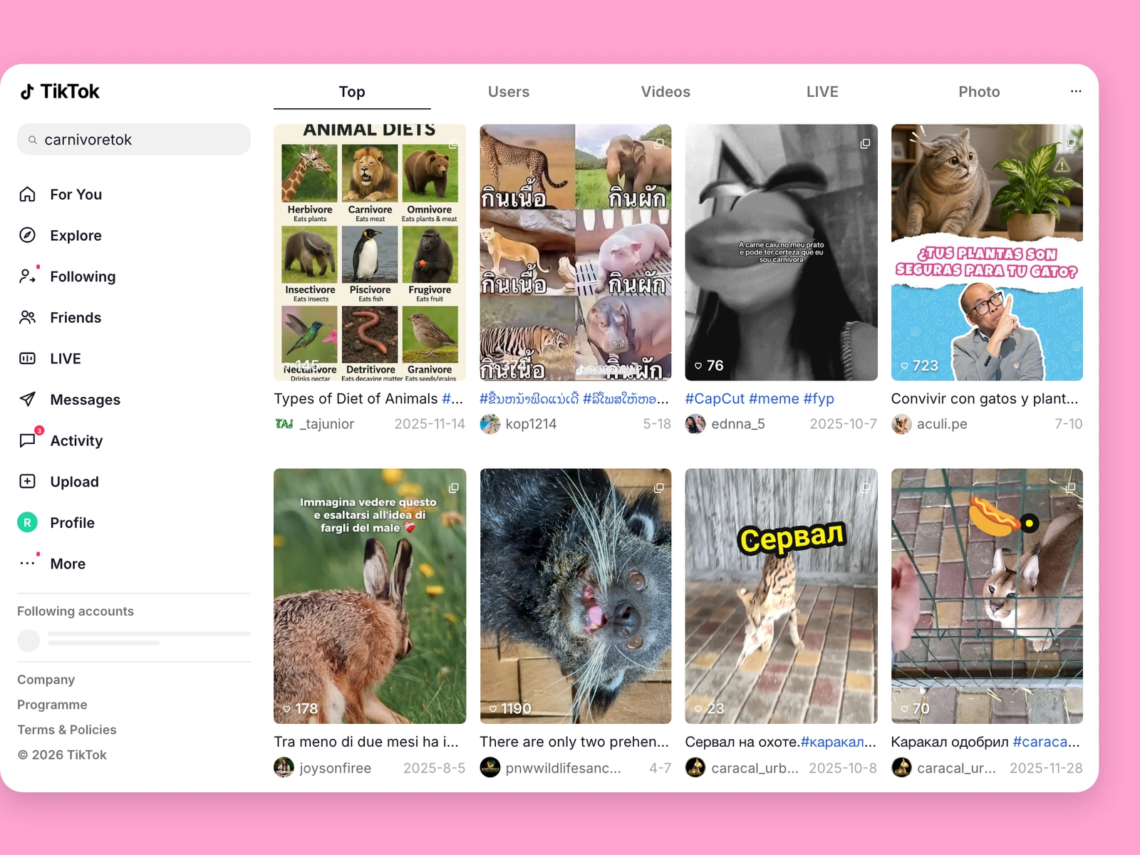 TikTok search results for carnivore content
