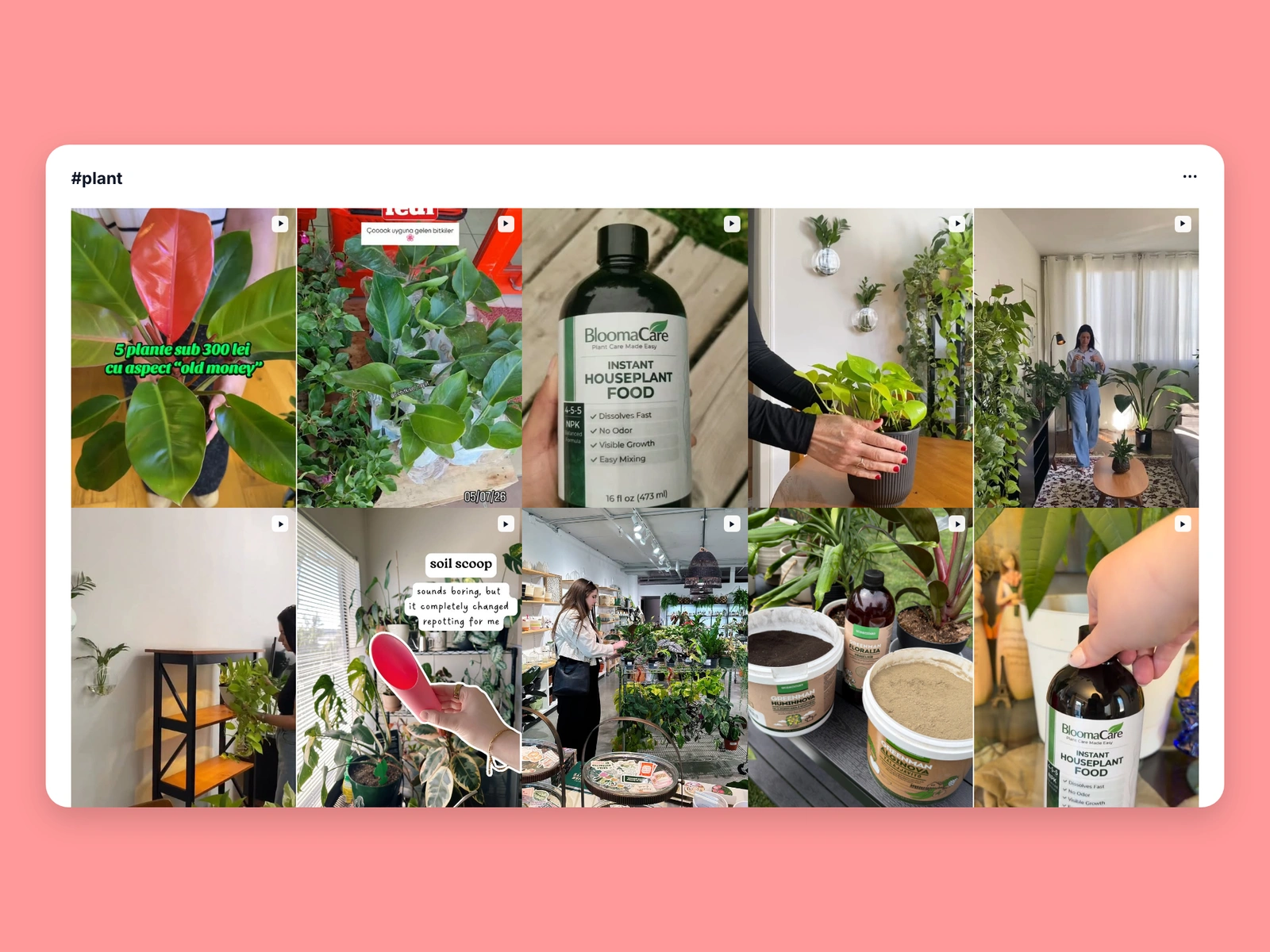 Instagram hashtag results for plant content