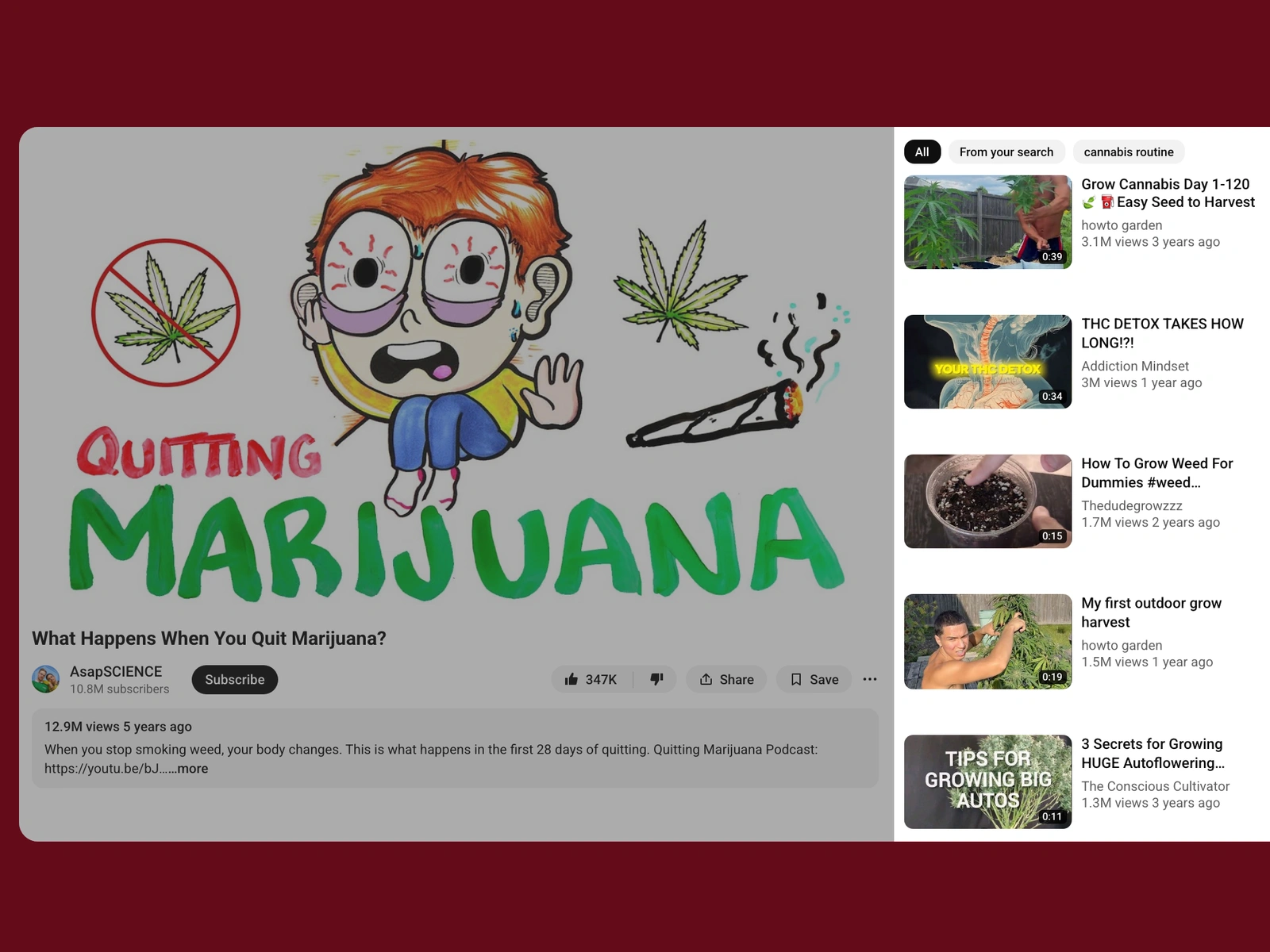 YouTube recommended videos beside a cannabis video