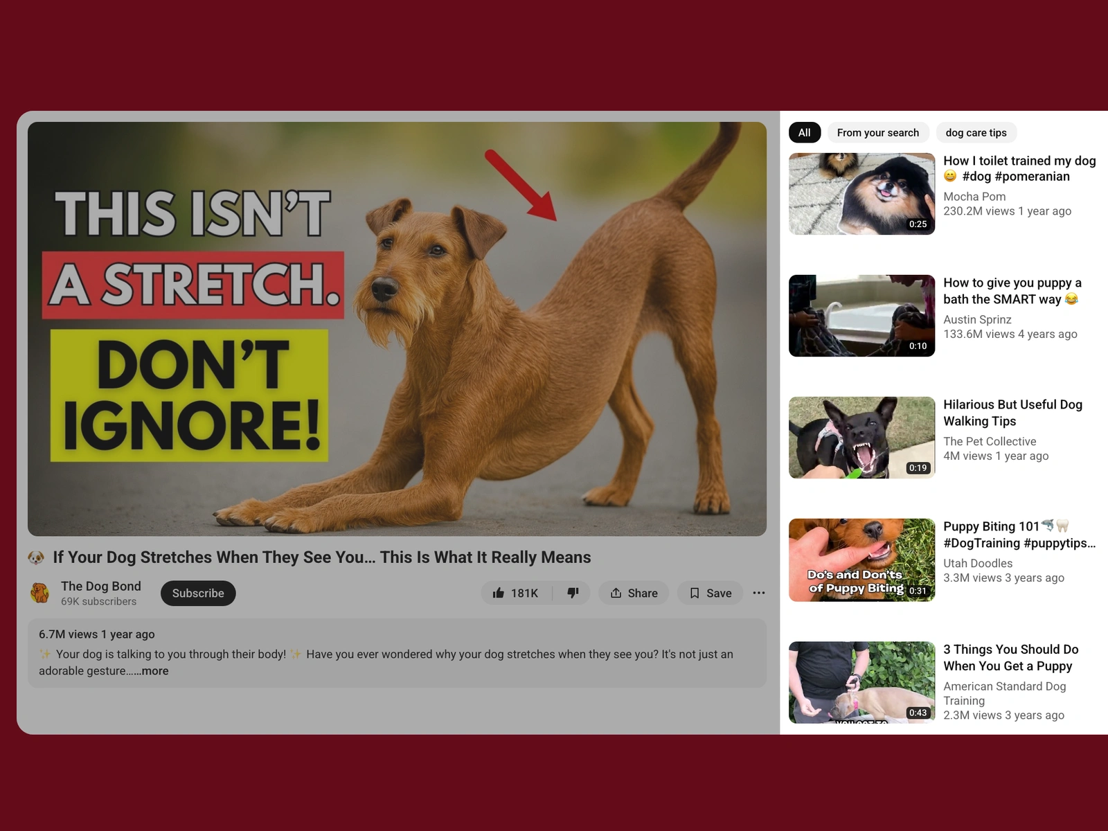 YouTube recommended videos beside a dog video