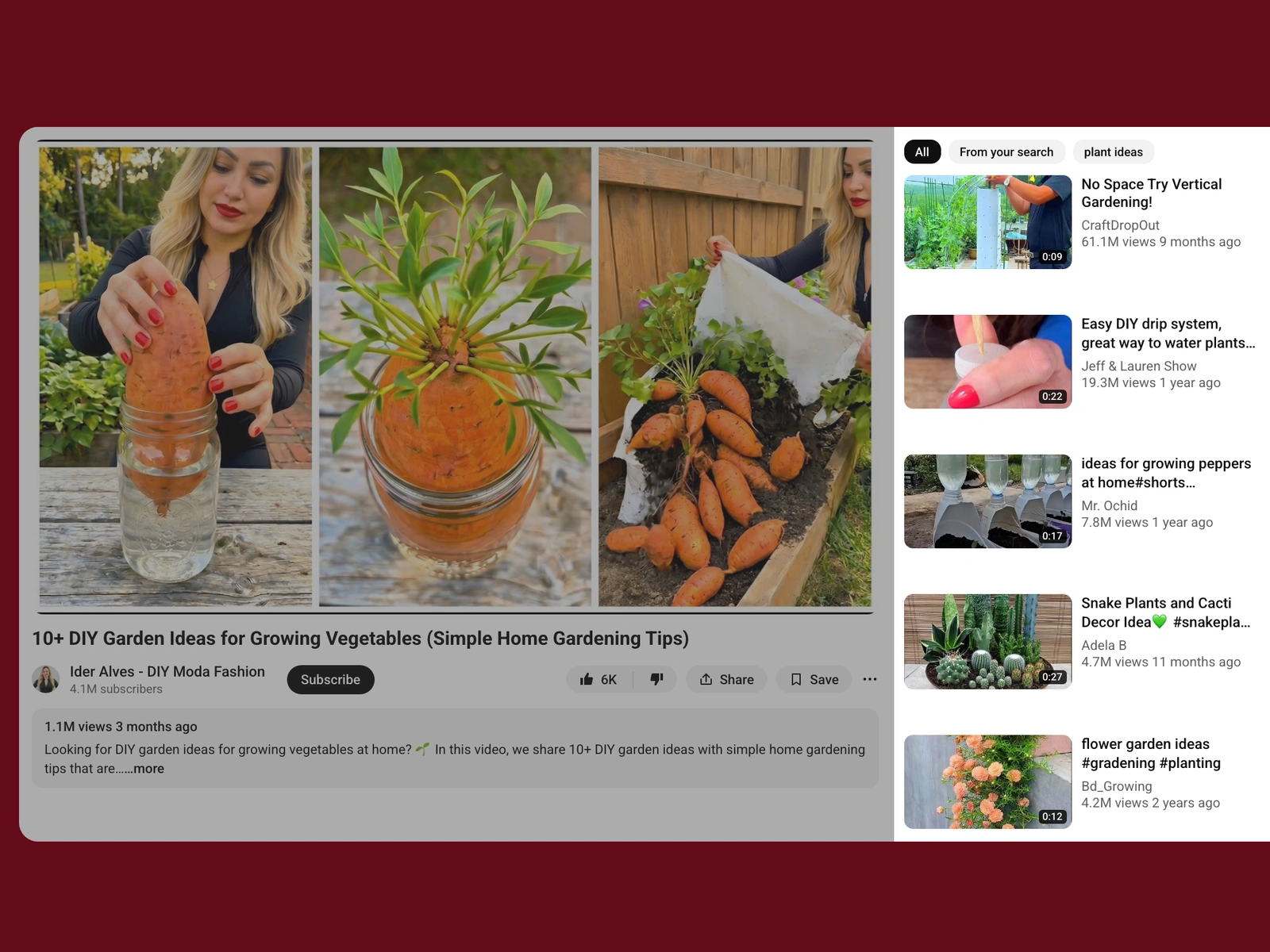 YouTube recommended videos beside a plant video