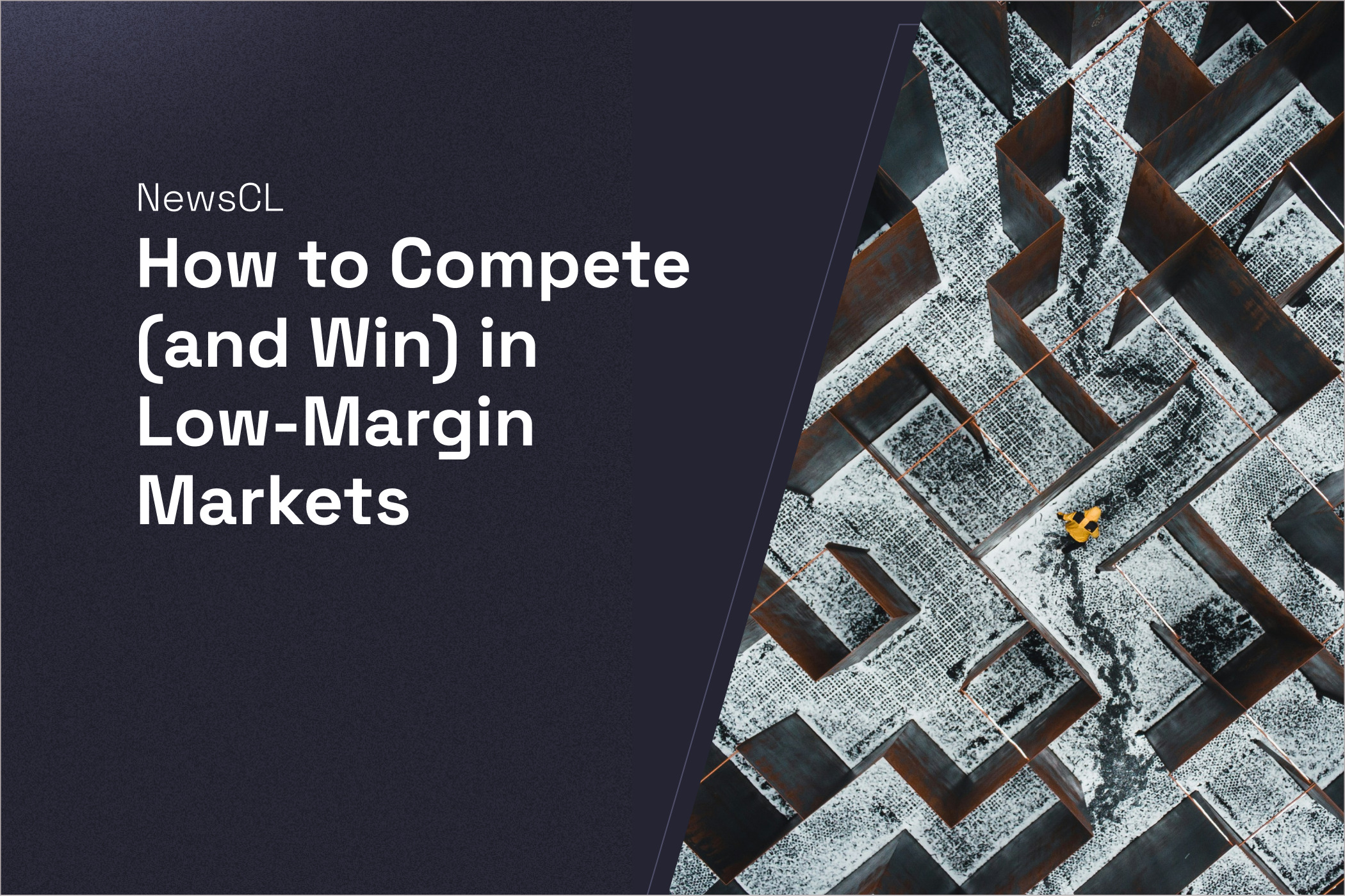 How to Compete (and Win) in Low-Margin Markets