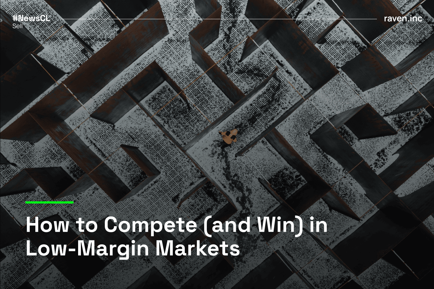How to Compete (and Win) in Low-Margin Markets