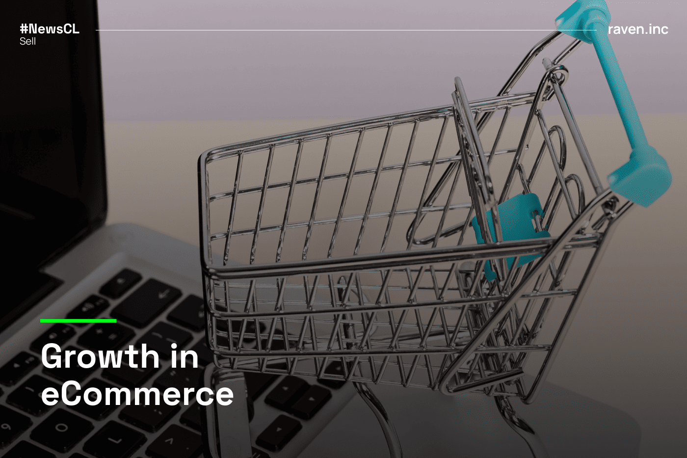 Growth in eCommerce: Enhancing Shopping Experience and Conversion