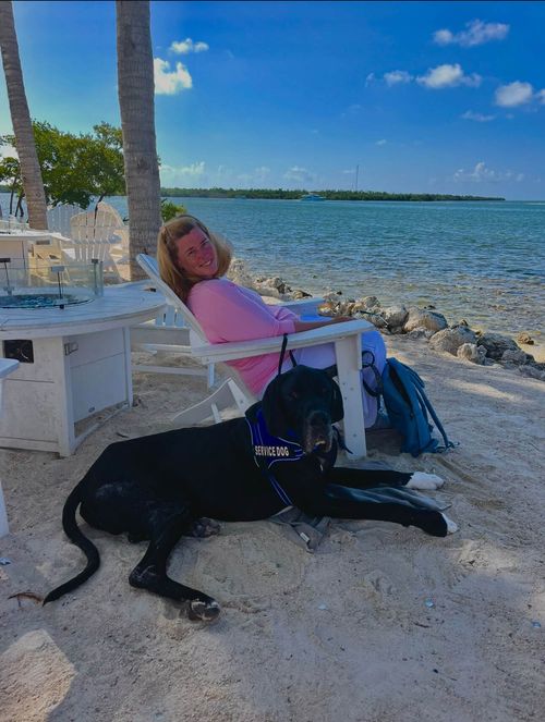 A happy Great Dane pairing through NEC.