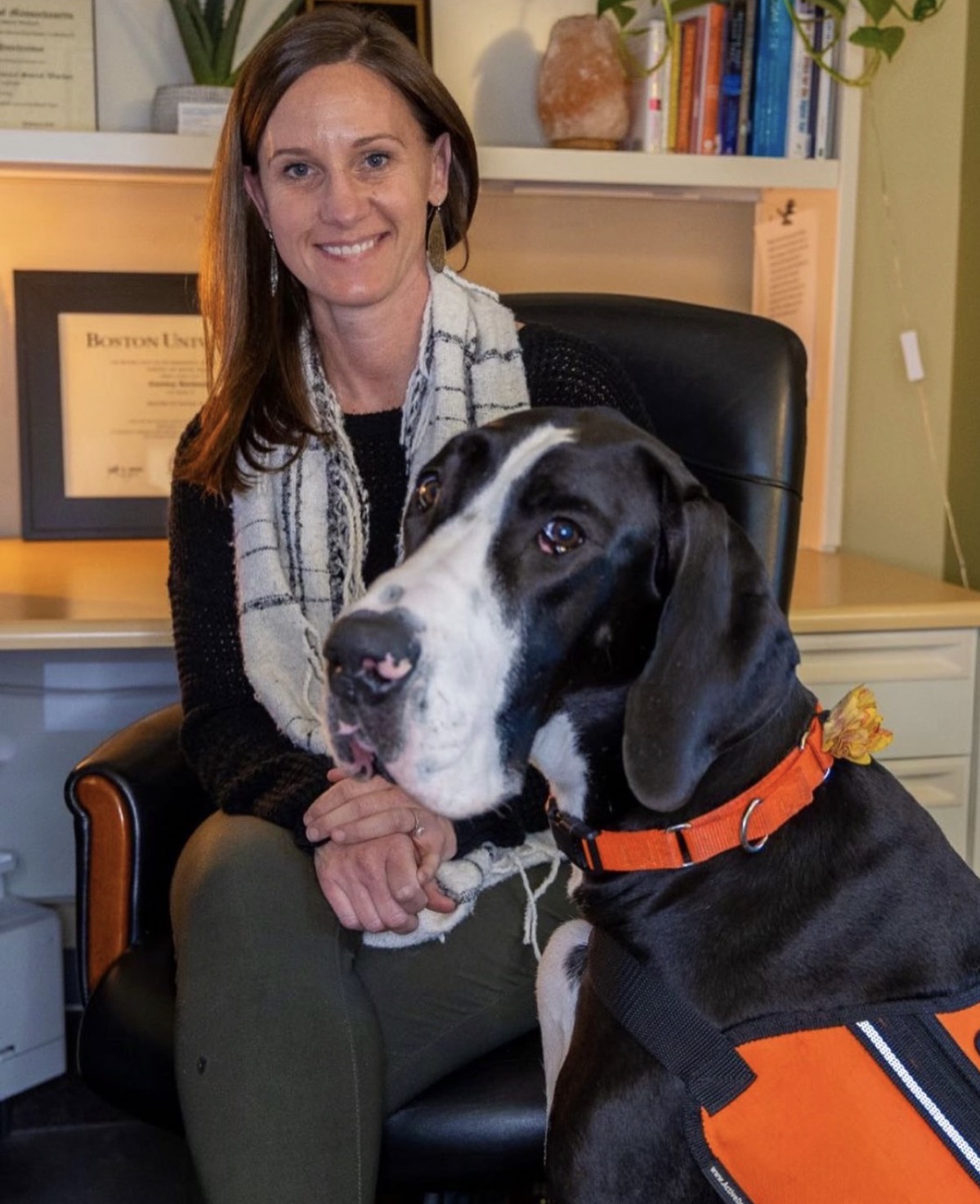 A Great Dane Service Dog