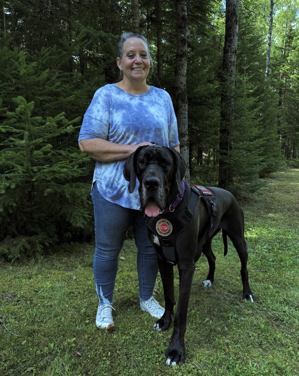 A Great Dane Service Dog