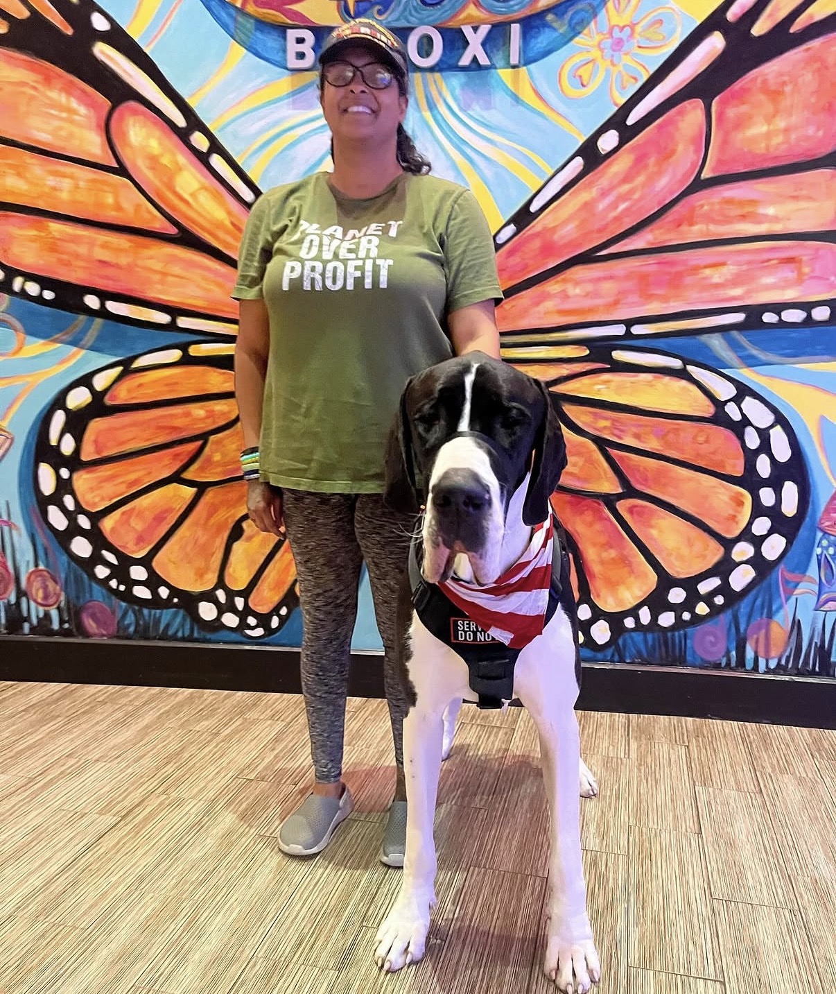 A Great Dane Service Dog