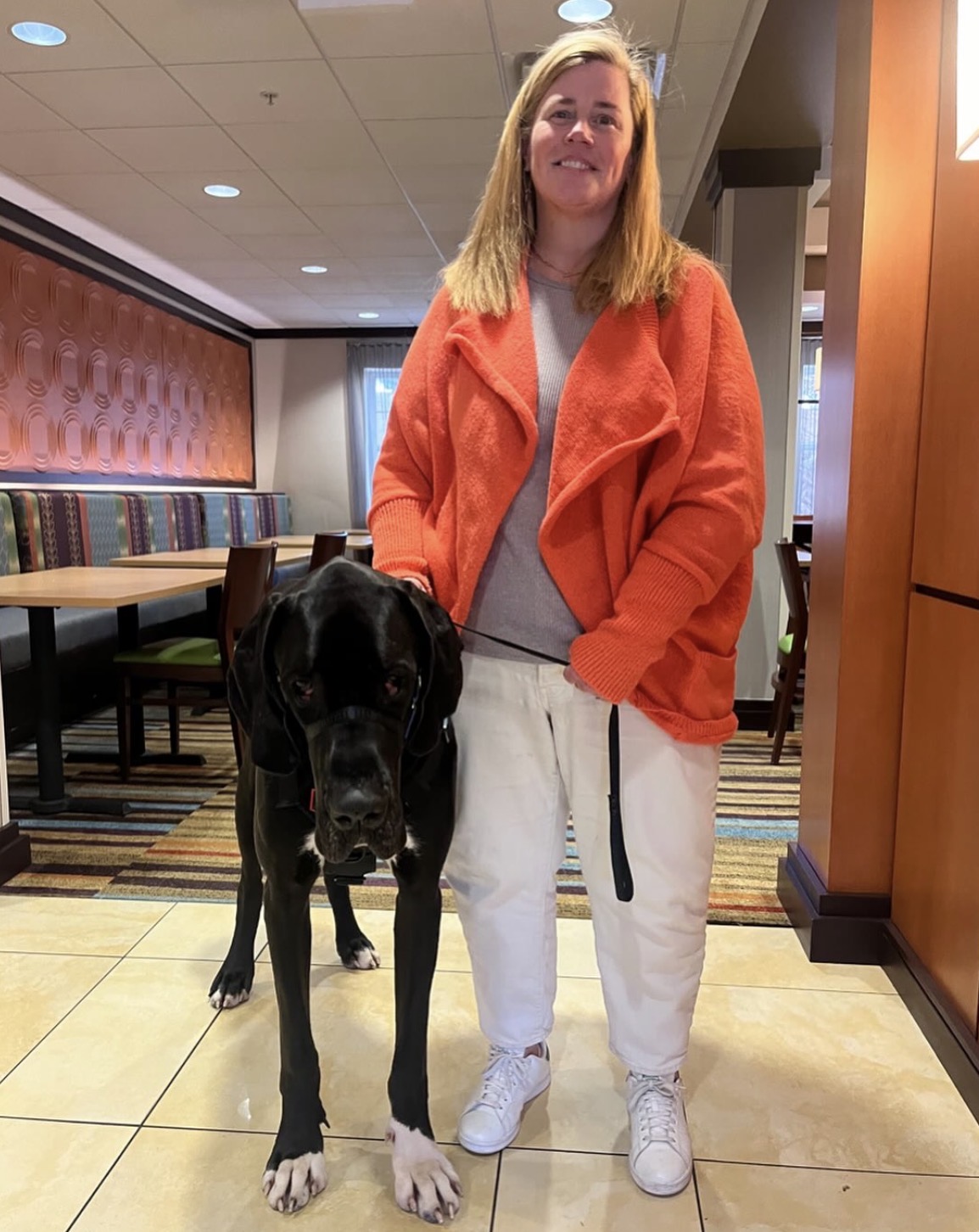 A Great Dane Service Dog