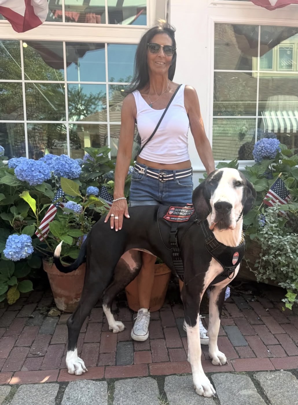 A Great Dane Service Dog