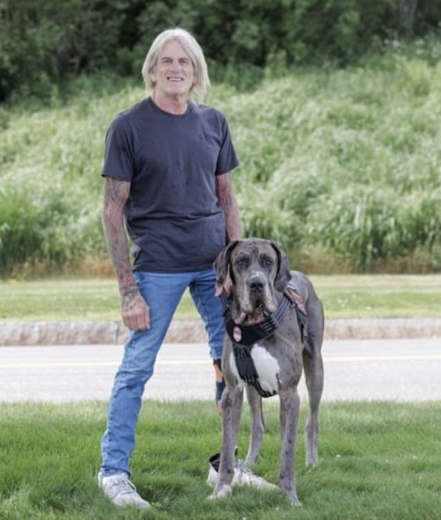 A Great Dane Service Dog