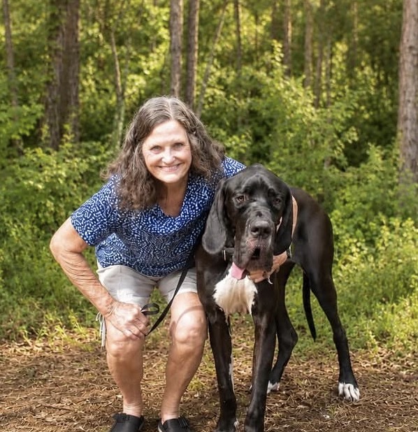 A Great Dane Service Dog