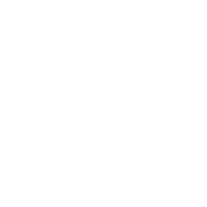 Play Video Icont