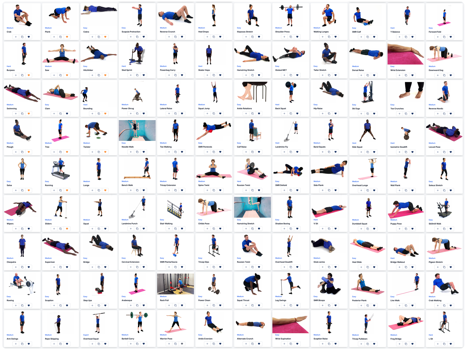 Exercises library for rehabilitation