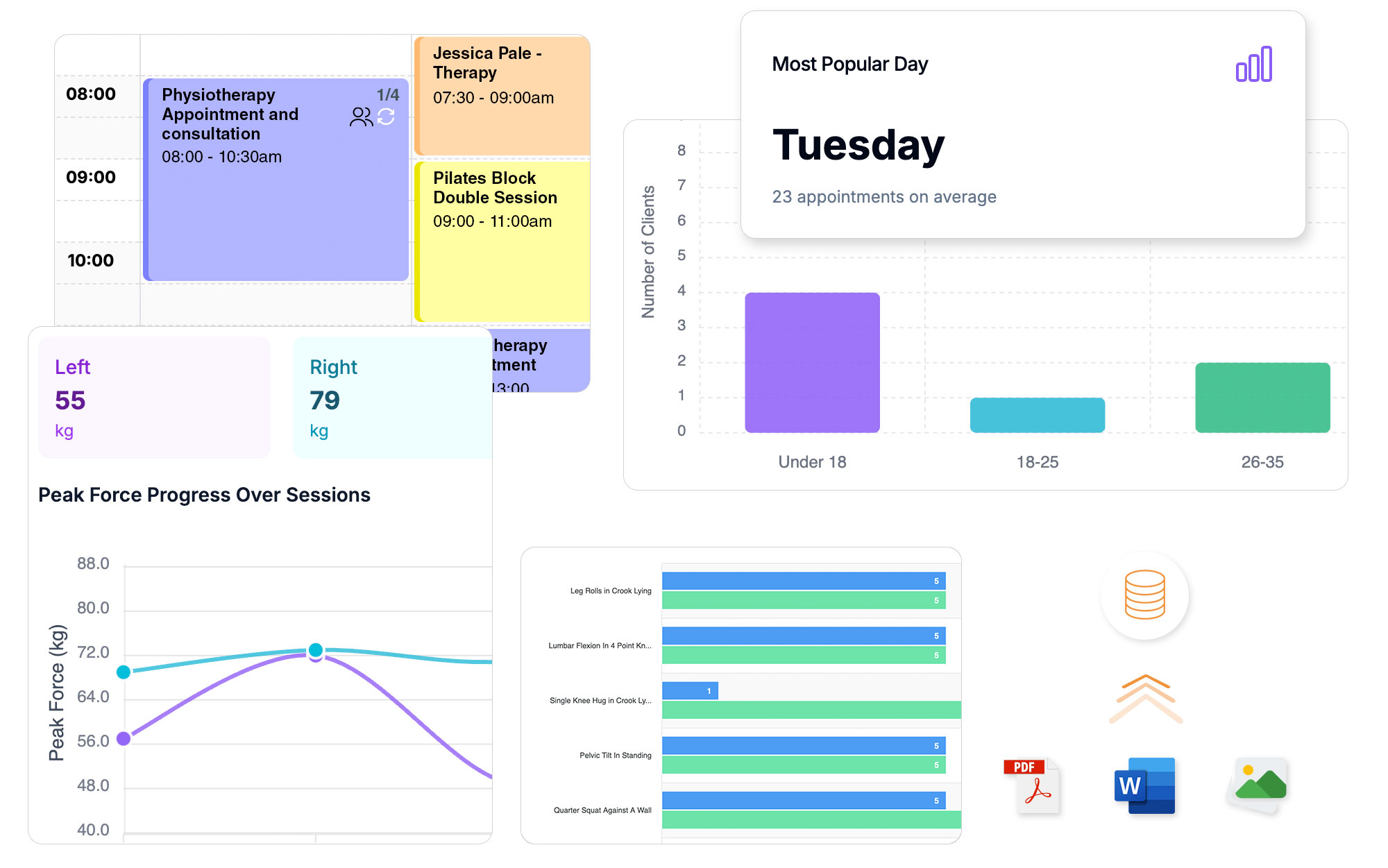 Patient bookings calendar, patient outcomes in Clinic online software
