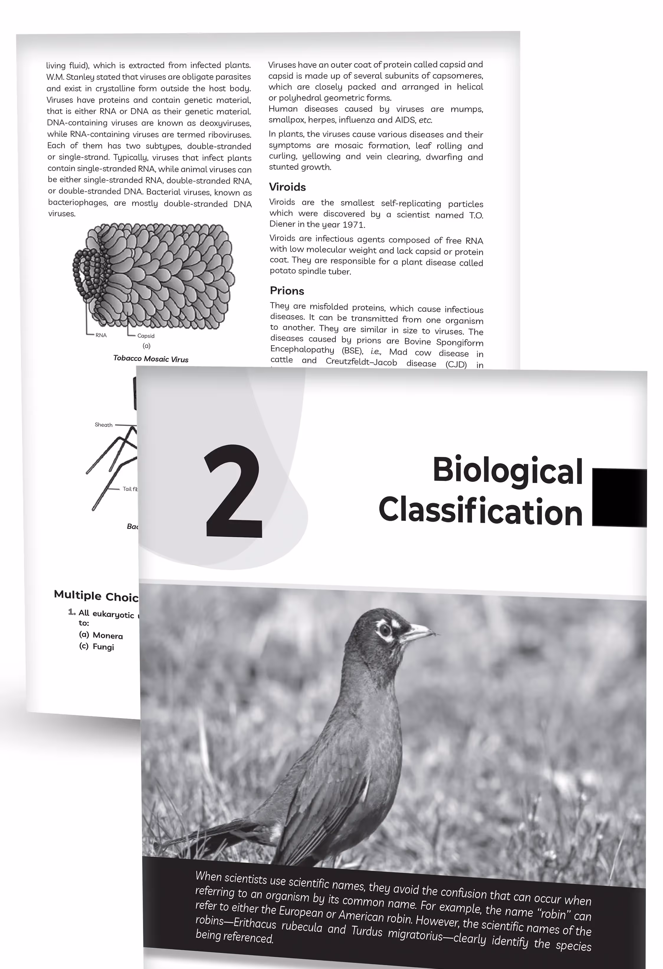 Educart CBSE Class 11 Biology Question Bank 2026 (Strictly for 2025-26 Exam)