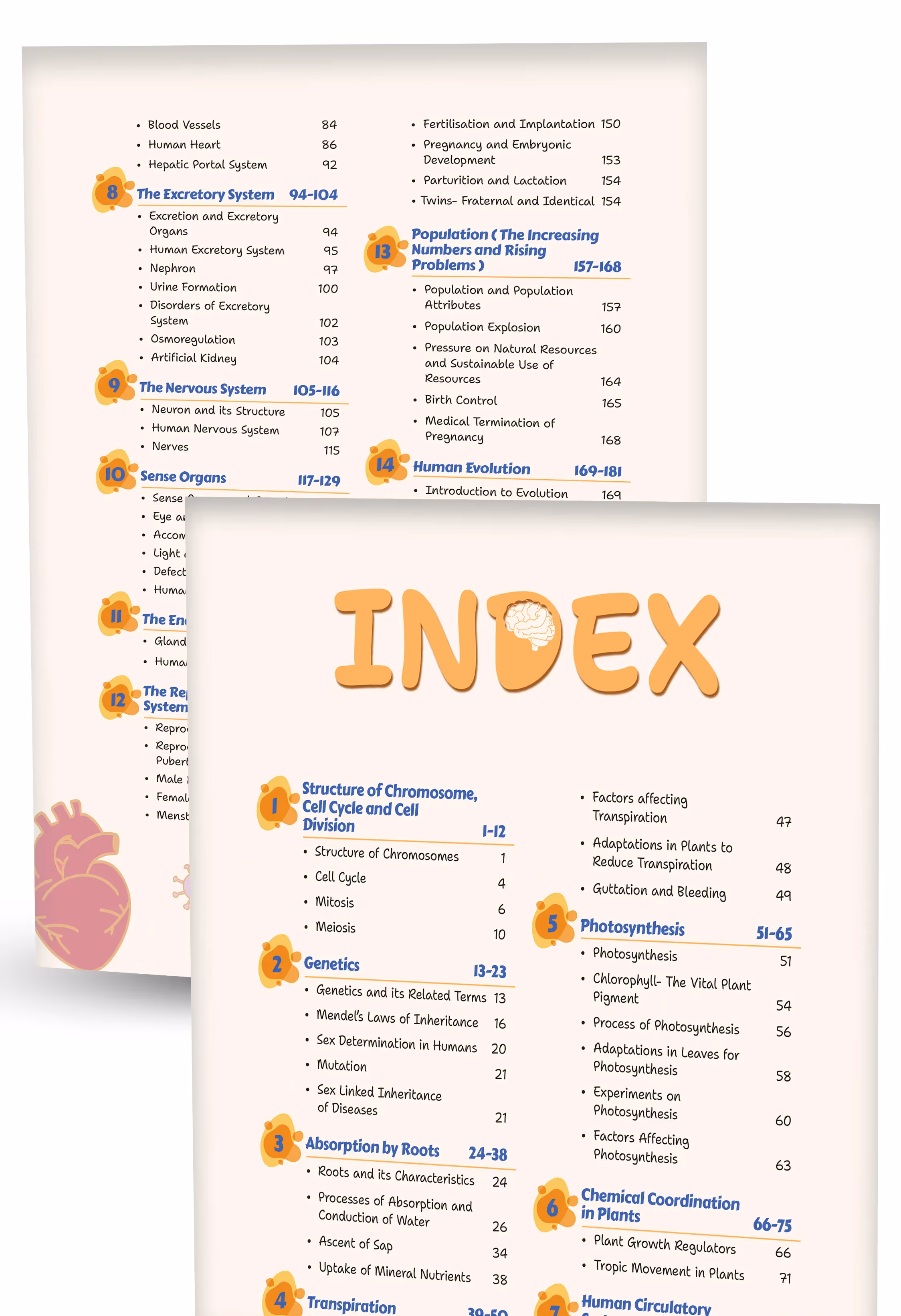 Educart Handouts ICSE Class 10 Biology Handwritten Notes 2026 (for PTs, half-yearly and board exam 2025-26)