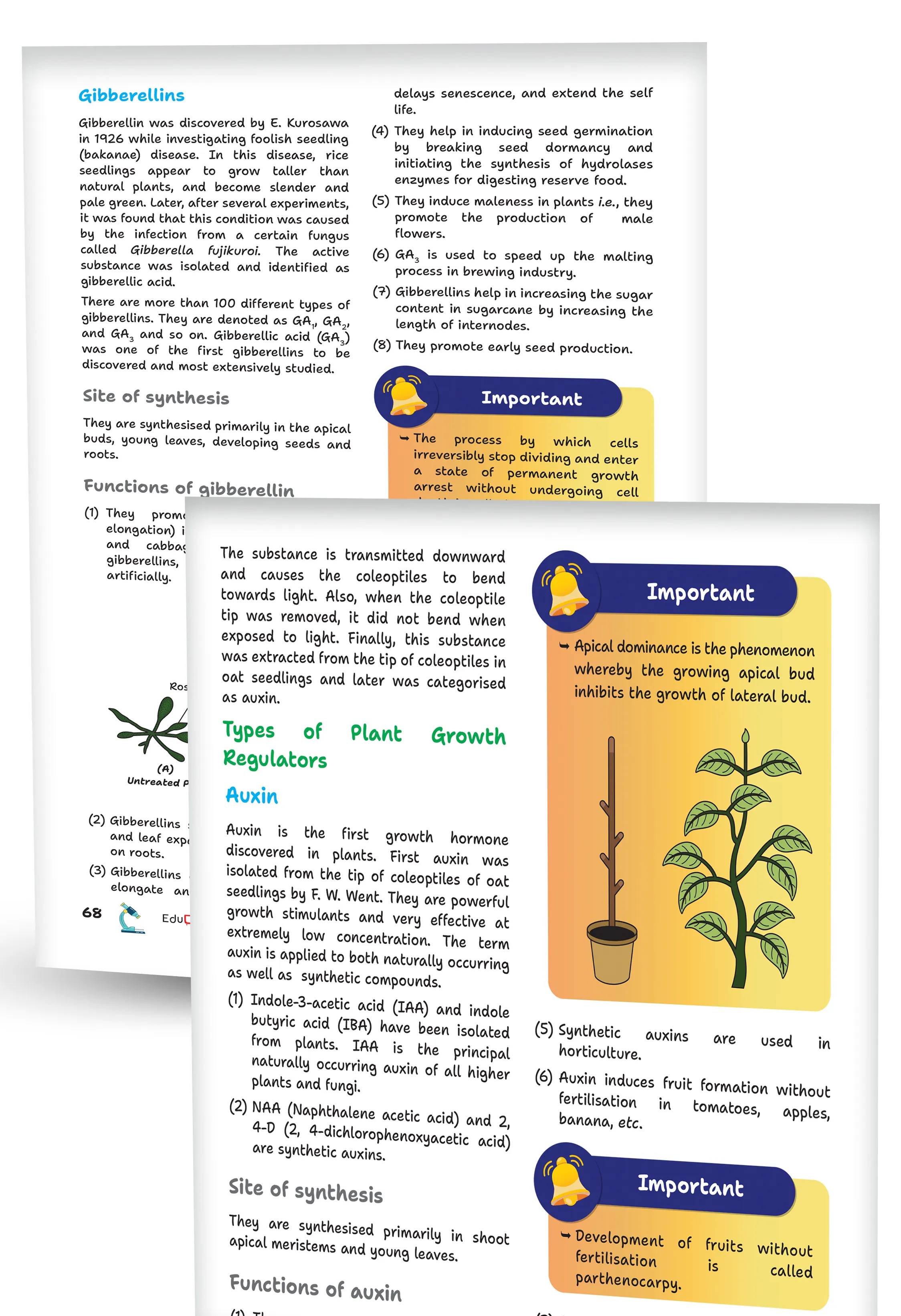 Educart Handouts ICSE Class 10 Biology Handwritten Notes 2026 (for PTs, half-yearly and board exam 2025-26)