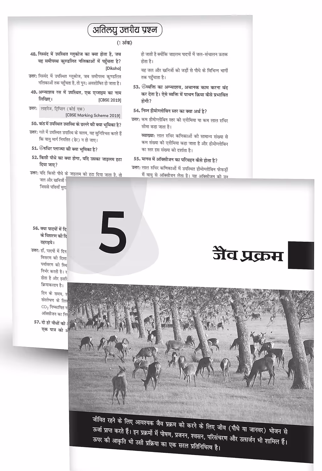 Educart CBSE Question Bank Class 10 Science (Vigyan) 2025-26 (For 2026 Board Exams) (Hindi Medium)