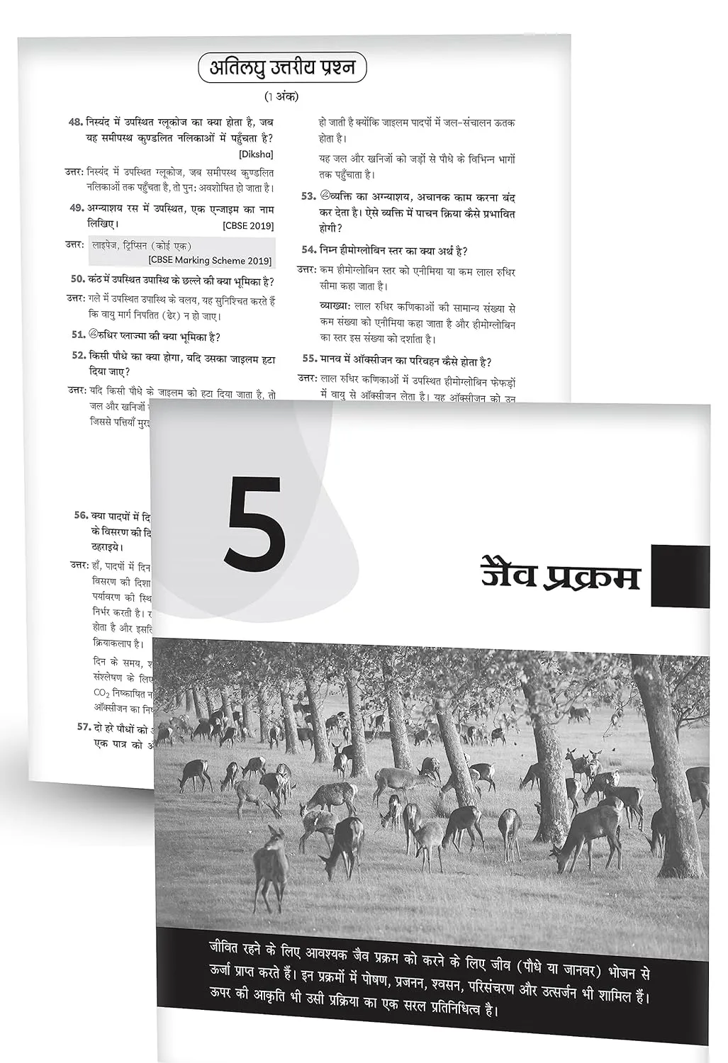 Educart CBSE Question Bank Class 10 Science (Vigyan) 2025-26 (For 2026 Board Exams) (Hindi Medium)