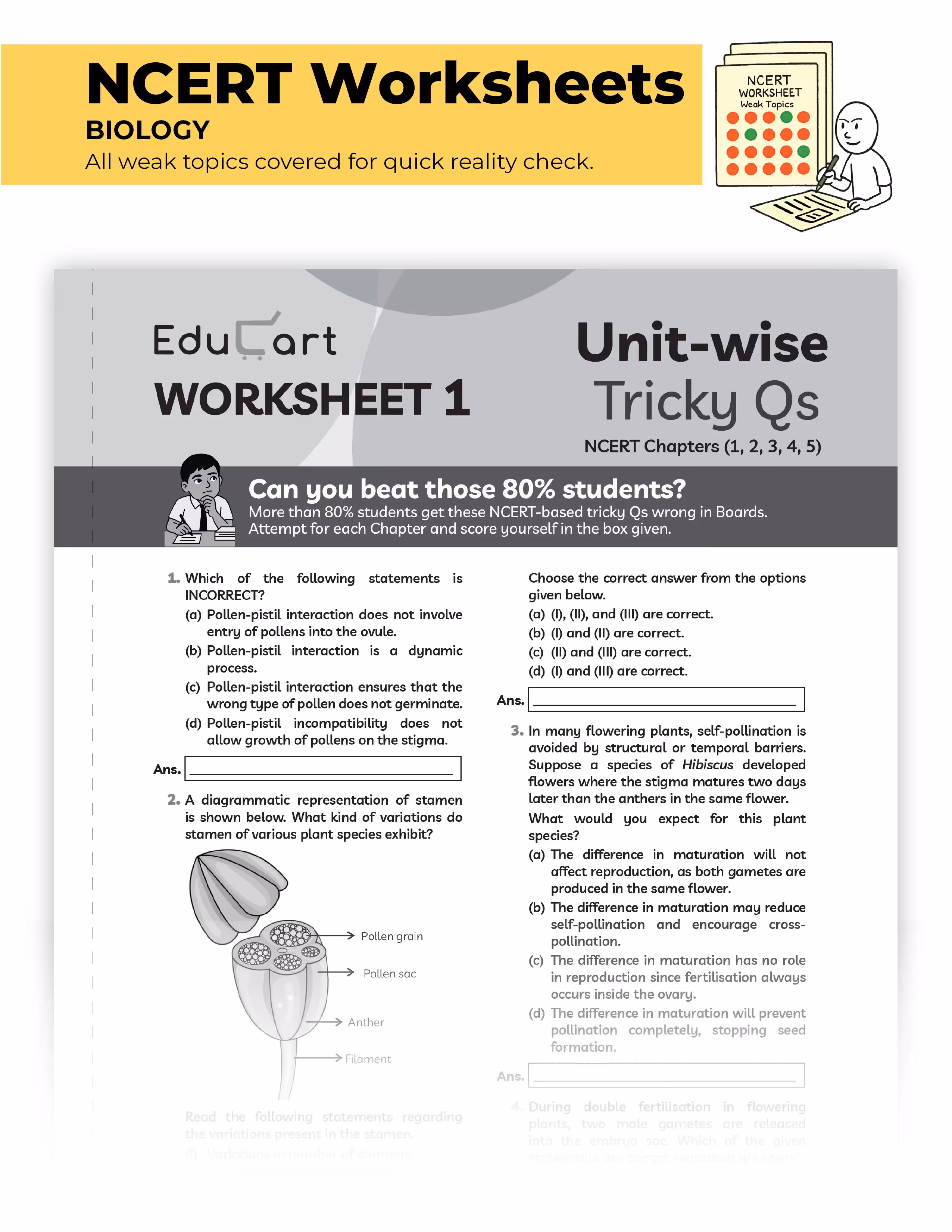 Educart CBSE Sample Paper Class 12 2025-26 – Biology (Based on latest CBSE Sample Papers Released on 30-07-25) For 2026 Board Exam