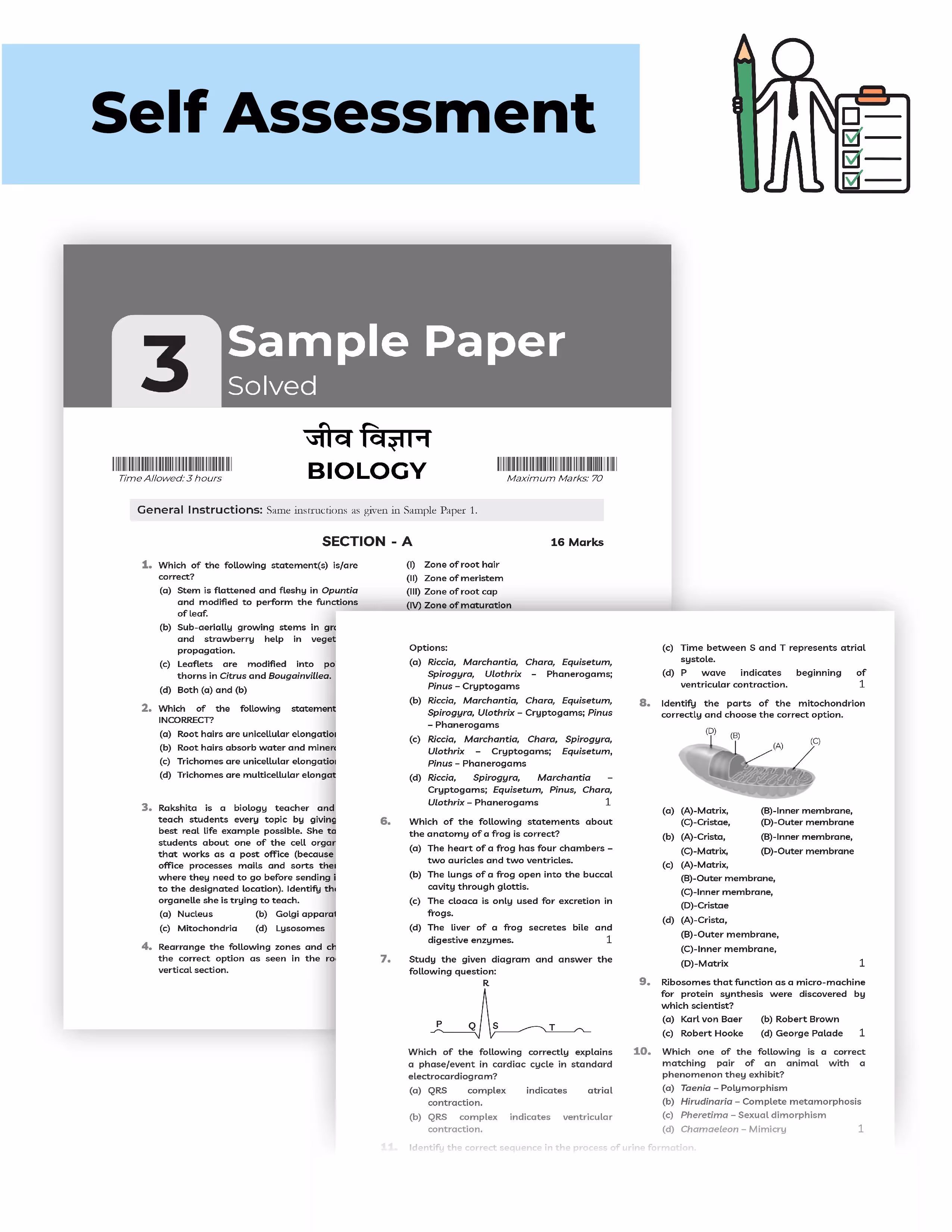 Educart CBSE Class 11 Combined Sample Papers 2025-26 – Physics, Mathematics, Chemistry, Biology, and English (for 2026)