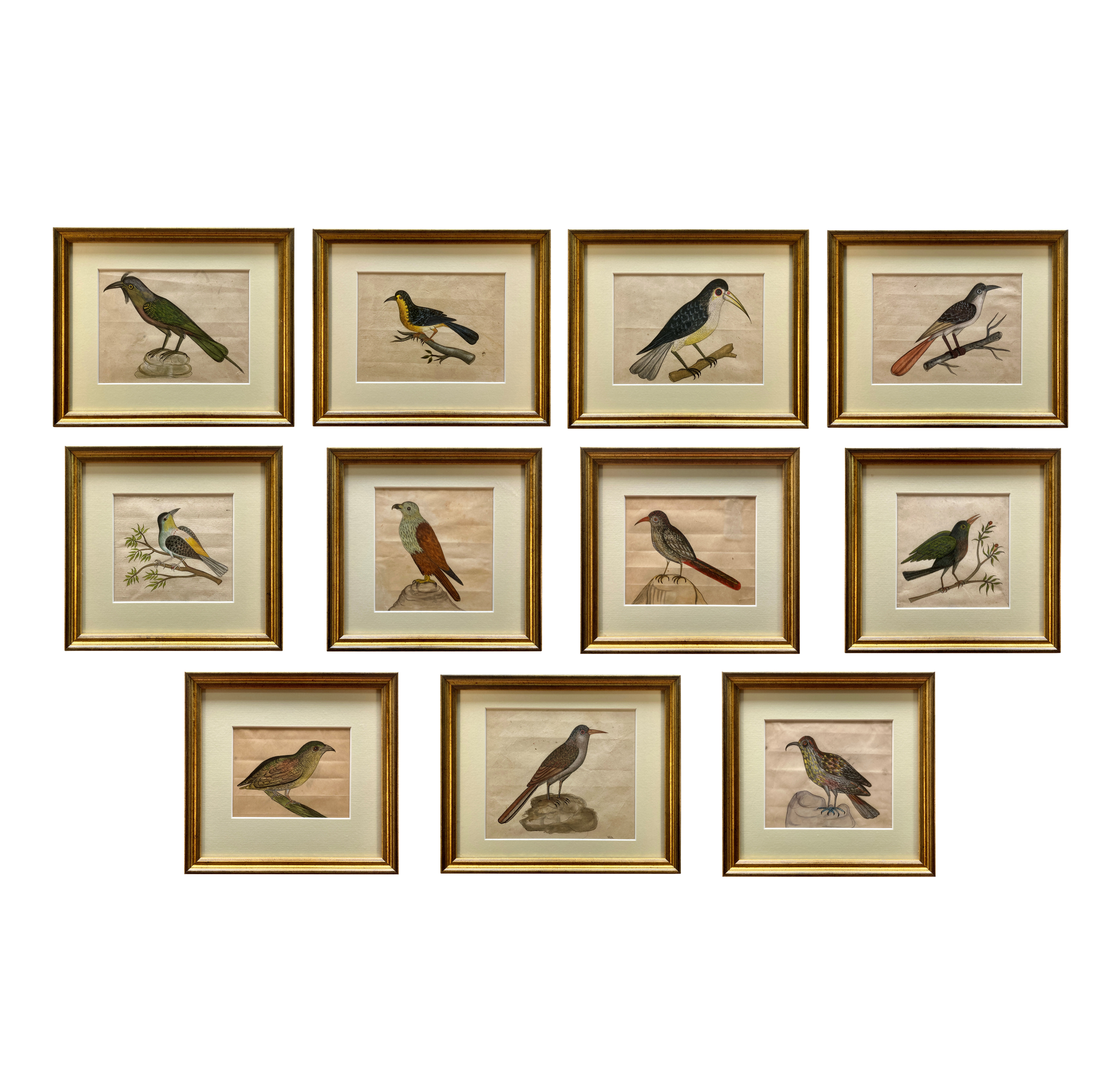 A COLLECTION OF ELEVEN EARLY XIX CENTURY WATERCOLOURS OF INDIAN BIRDS