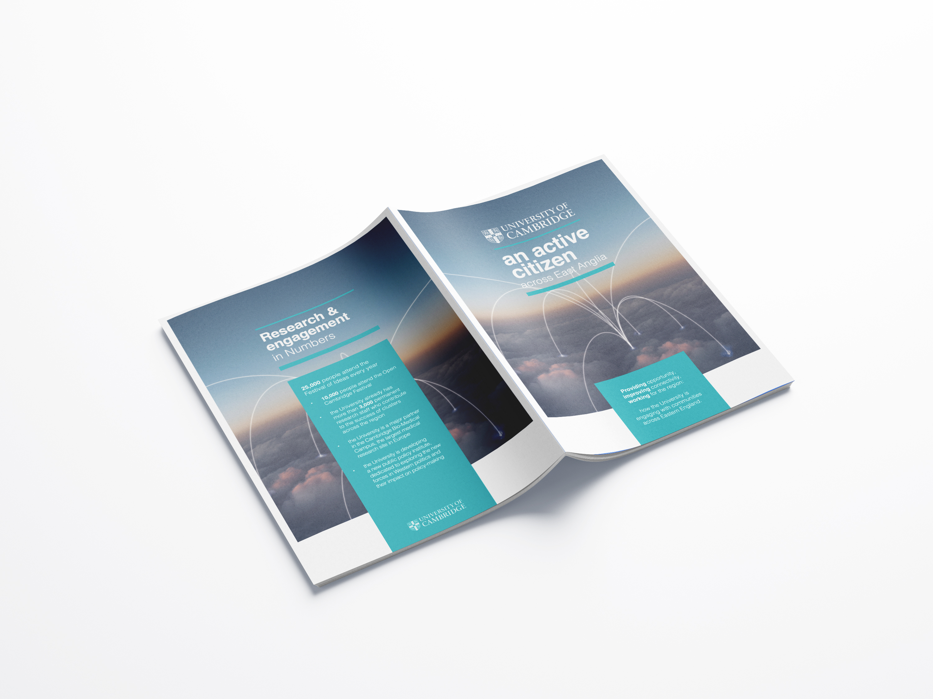 Portfolio visual print