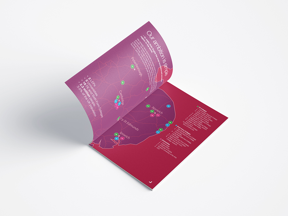 Portfolio visual print