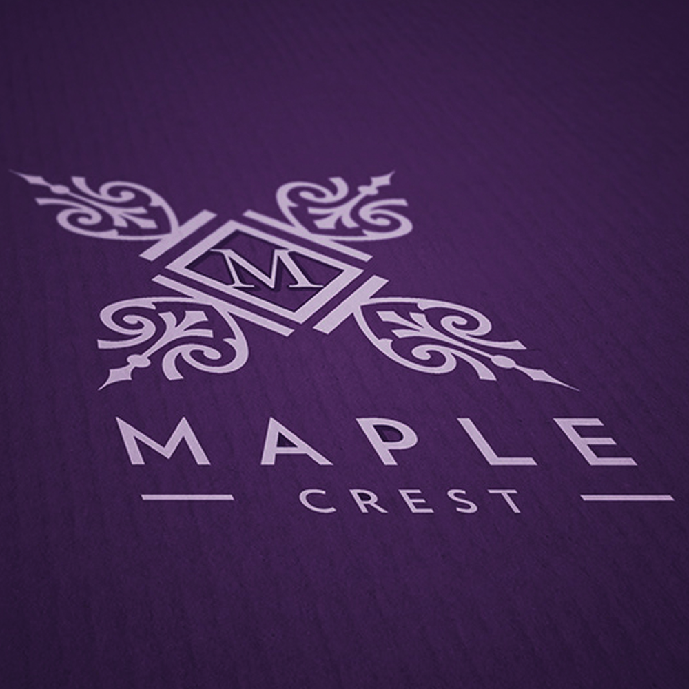 Portfolio visual logo