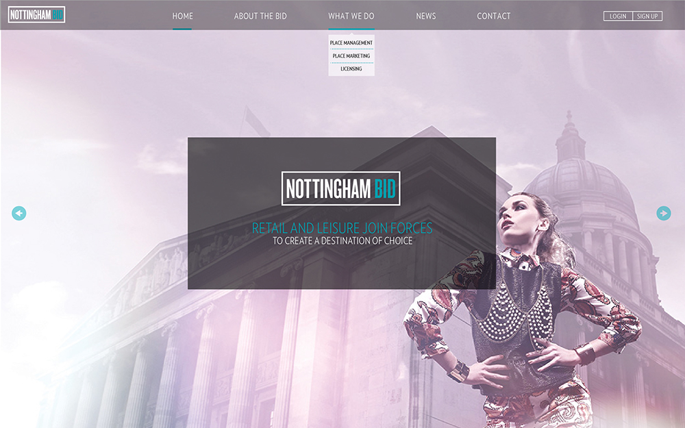 Portfolio visual web
