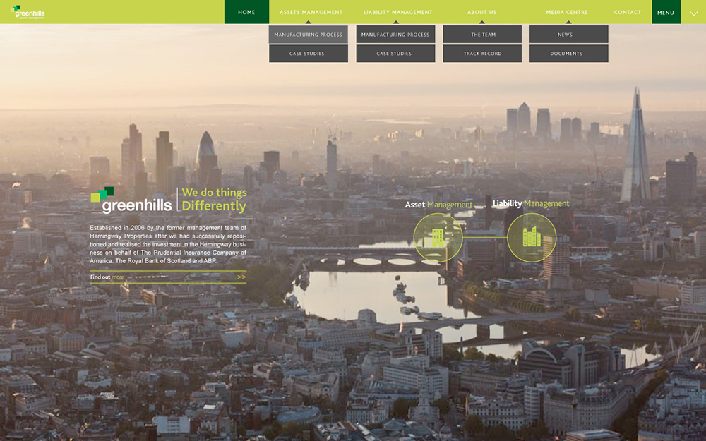 Portfolio visual web