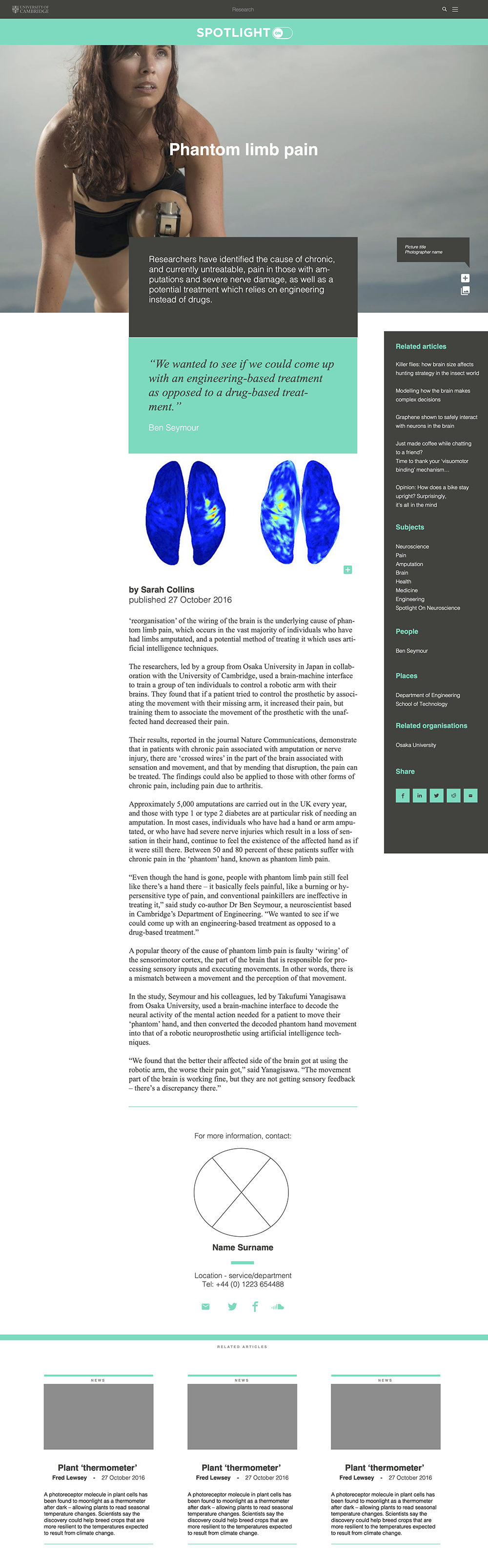 Portfolio visual web