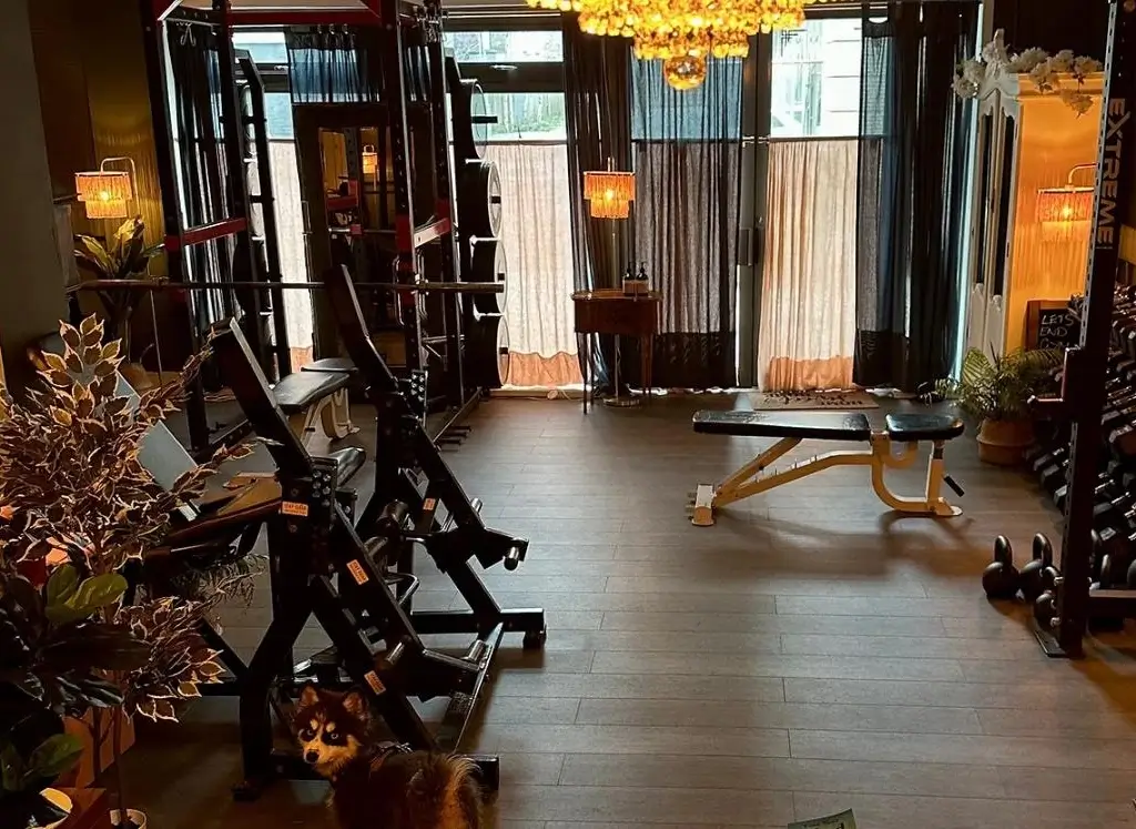 Angel Gyms Clapham Angel Gyms Clapham